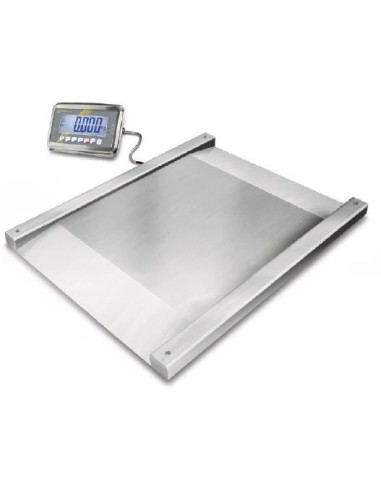 Balance au sol Kern NFN pour professionnel