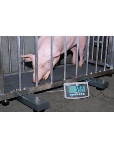 Barres peseuses Kern UFA