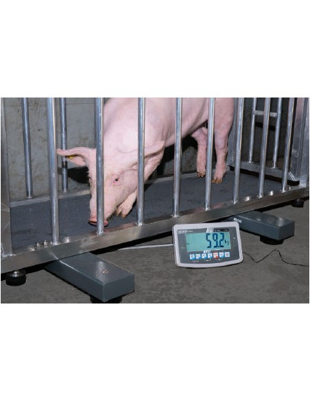 Barres peseuses Kern UFA