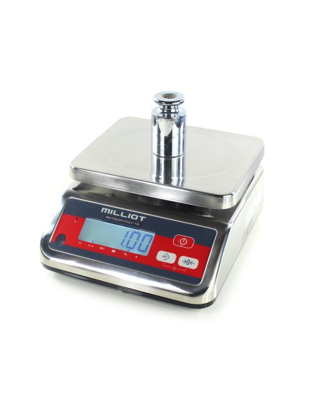 Balance inox homologuée Milliot WS