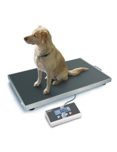 Plateforme Kern EOB 2