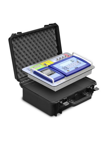 Ensemble Pèse-roues Dini Argeo WWSDRF