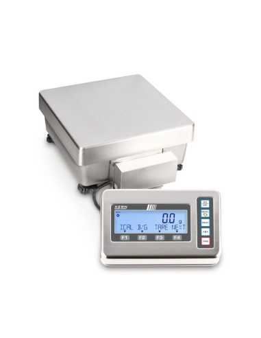 Balance de précision pour charges lourdes FES / FEJ Kern