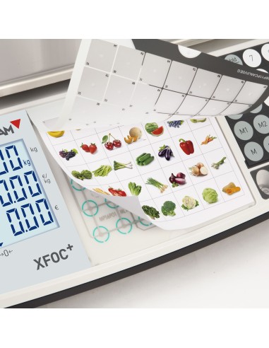 BALANCE GRAM XFOC+ MAX 30 KG