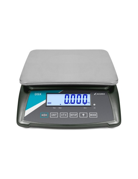 Balance industrielle compacte ACCUREX DSX