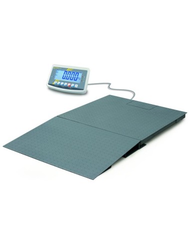 Balance au sol Kern BFB pour professionnel