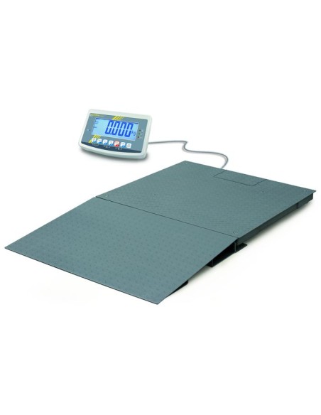 Balance au sol Kern BFB pour professionnel